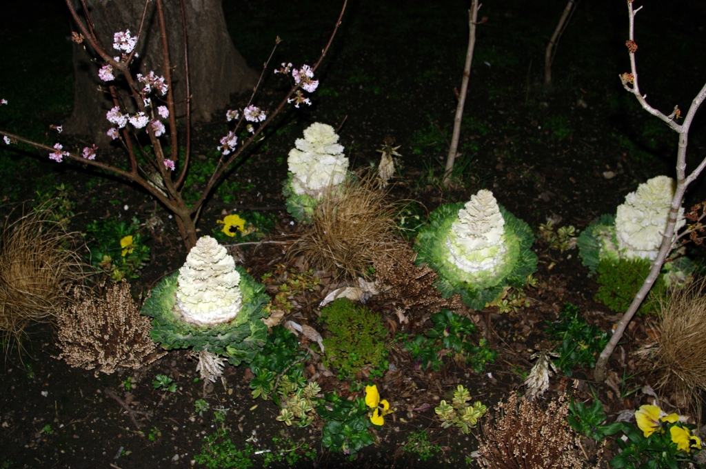 Канал в районе Дорсодуро