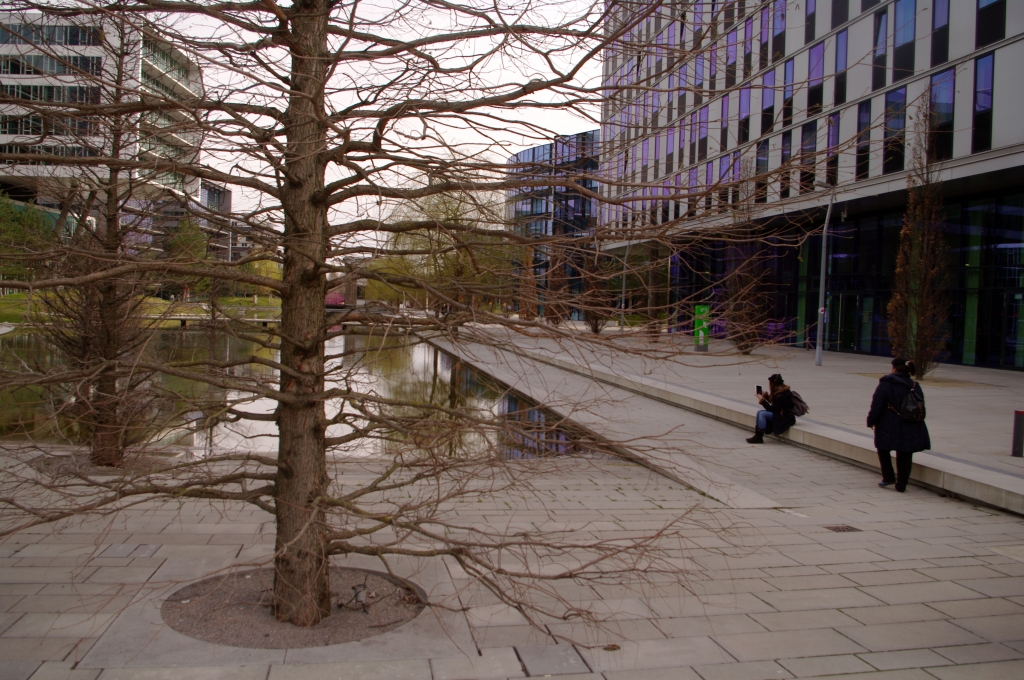 На набережных Венеции часто нет никаких перил, а