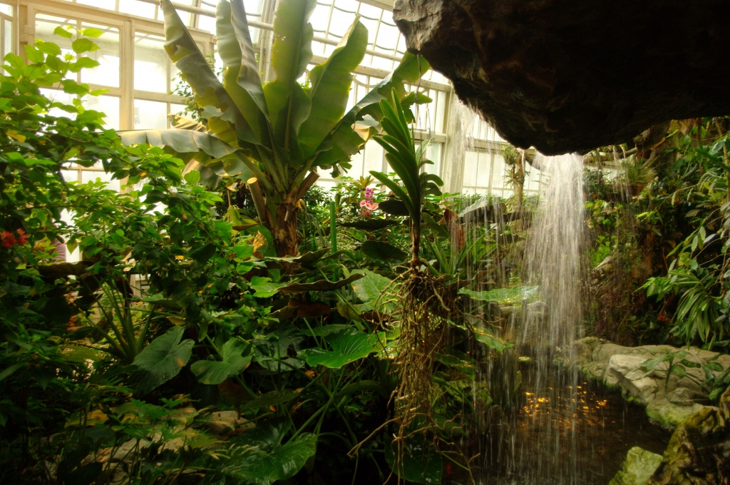 Требующая высокого мастерства профессия гондольера - высокооплачиваемаи и