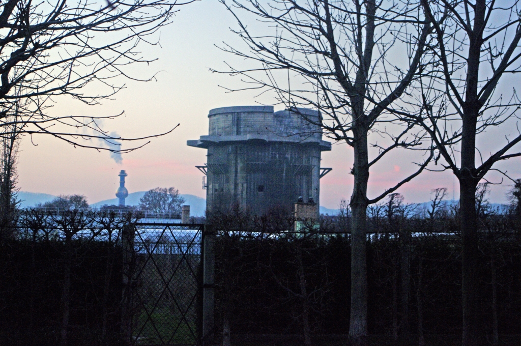 Сотопортего бывают очень длинные.