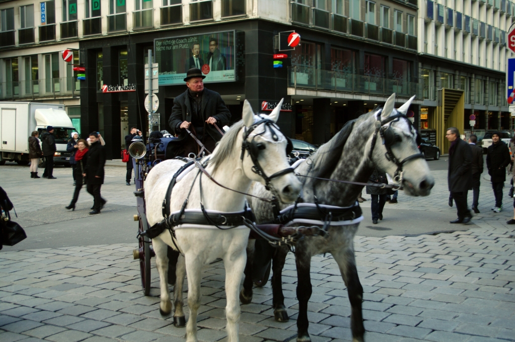Мост Скальци через Гранд-канал в Венеции.