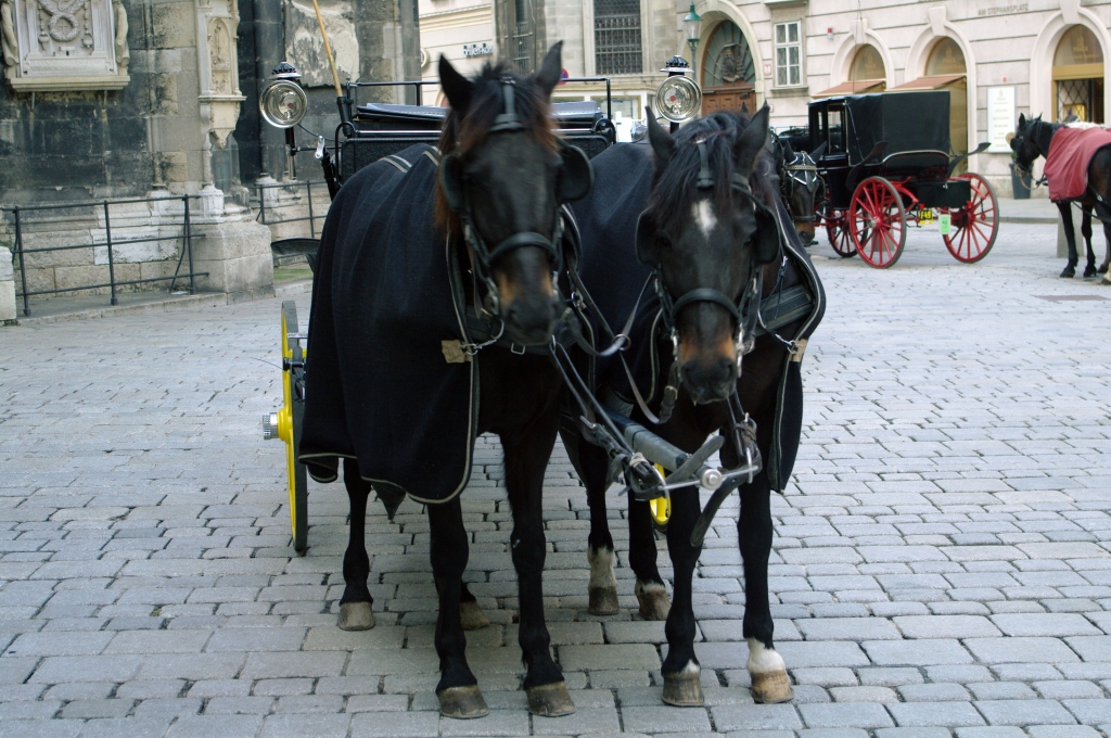 Самый новый из мостов через Гранд-канал - мост